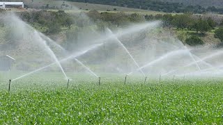 Super Simple Sprinkler Irrigation System Installation complete process step by step Drip Irrigation [upl. by Columbyne]