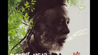 Burning Spear  Down In Jamaica [upl. by Tolliver]