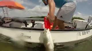 Fishing the Banana River in Merritt Island Florida [upl. by Earased99]