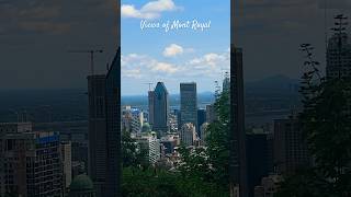 Views of Mont Royal montroyal montreal views downtown canada [upl. by Acinaj]