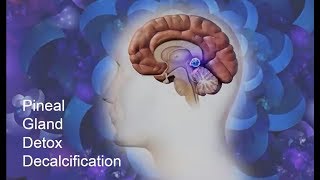 송과선제3의 눈을 탈석회화 하는 방법How to Decalcify Your Pineal Gland 등 한글자막 [upl. by Marko]