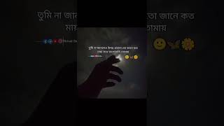 মায়া করে ভালোবাসি তোমায় 🌼❤️‍🩹 Whatsapp Status  whatsapp reel viral sad trendingreels [upl. by Eceinehs]