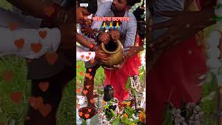 Shiv Tandav । 10082024 SP My Vlogs viral puja shorts shiva bholenathji omnamahshivay [upl. by Naneik]