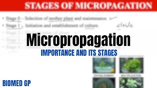 Micropropagation Importance and its stages [upl. by Aihsyak]