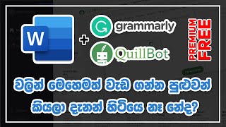 How to use Grammarly Premium and Quillbot at the same time in MS Word in Sinhala  2021 New [upl. by Jennie]