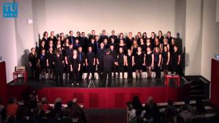 Hallelujah Leonard Cohen  TU Wien Chor  Frühlingskonzert 2014 [upl. by Esmaria278]