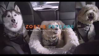 Zoetis PetCare Rewards [upl. by Tremann]