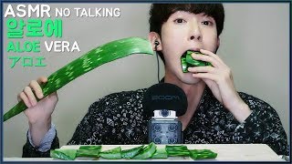 NO TALKING KOREAN ASMR ALOE VERA CHALLENGE Soft Sticky Crunchy SOUNDS Eating Show MUKBANG [upl. by Kera]