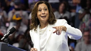 ‘Out of touch’ Celebrities slammed for endorsing ‘idiotic’ Kamala Harris [upl. by Aimil514]