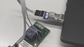 Flashing ESPurna Custom Firmware on ITEAD 1CH WiFi Switch [upl. by Nomla]