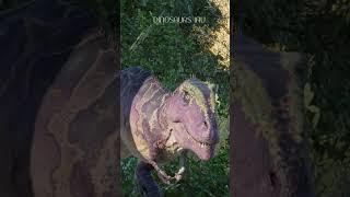 Indominus REX vs Indoraptor vs Caccharotosaurus Stegosaurus jurassicparkdinosaur indominusrex [upl. by Iy]