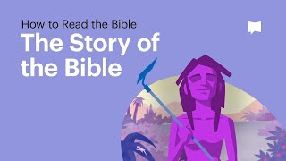 The Story of the Bible • What Its About From Beginning to End [upl. by Viviene749]