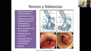 5 AUSCULTACIÓN PULMONAR PARTE 1 [upl. by Merkley]