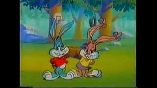 Tiny Toons Adventure  Julespesial Intro NorskNorwegian [upl. by Emiatej]