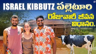 kibbutz Village Daily Life in Israel 🇮🇱  Uma Telugu Traveller [upl. by Mitchel]