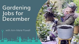 Decorating Your Winter Garden amp Protecting Plants From Frost  December Gardening Jobs  PrimroseTV [upl. by Meibers]