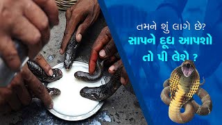 Nag Panchami 2024 શું સાપ હકીકતમાં દૂધ પીવે છે ખોટા ભ્રમમાં રહેતા પહેલા જાણી લો આ વાત [upl. by Peirsen]