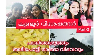 കുണ്ടൂർ വിശേഷങ്ങൾ Part3 പായ്ത്തുരുത്തും ഒരു അടിപൊളി മാങ്ങാ വിഭവവും Real Kitchen [upl. by Ford]