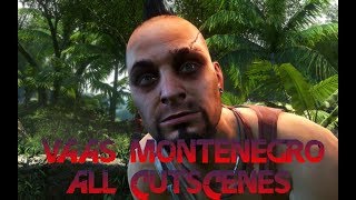 Far Cry 3  Vaas All cutscenes [upl. by Atiuqa]