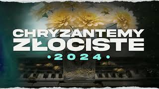 CHRYZANTEMY ZŁOCISTE 2024 [upl. by Ahsilat]