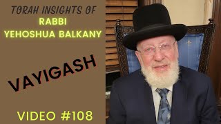 Torah Insights of Rabbi Balkany Vayigash Video 108 [upl. by Ebner272]