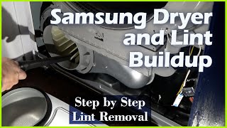 SAMSUNG DRYER LINT REMOVAL OUTPUT [upl. by Worth]