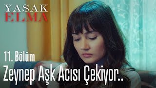 Zeynep aşk acısı çekiyor  Yasak Elma 11 Bölüm [upl. by Joceline]