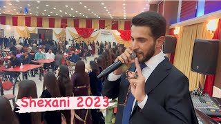 Shimal harki 2023 xoshtrin shexani dawata dolamariya شیمال هرکی شێخانی بۆ دۆلەمەریا ٢٠٢٣ فول دوزەلە [upl. by Caril]