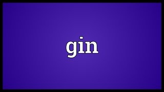 Gin Meaning [upl. by Jesus4]