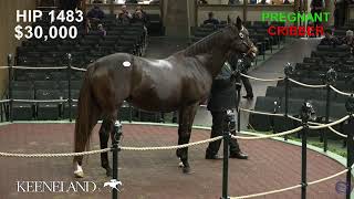 Keeneland Live Feed [upl. by Liarret]