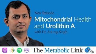 Mitochondrial Health and Urolithin A with Dr Anurag Singh  Ep 41 [upl. by Lokcin859]