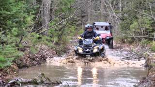 All  4 Michigan ORV on the trail Review Wolverine Michigan [upl. by Lonee]