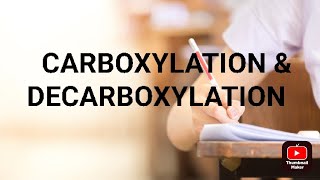 Decarboxylation amp Carboxylation [upl. by Caylor13]