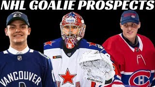 Top 10 NHL Goalie Prospects [upl. by Eugenio]