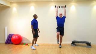 Single Leg Balance Dumbbell Shoulder Press [upl. by Baird649]