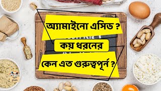 অ্যামাইনো এসিড কি  কয় ধরনের  কিসে কোথায় পাওয়া যায় amino Acid classification science education [upl. by Argent]