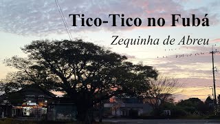 Zequinha de Abreu TicoTico no Fubá [upl. by Florette]