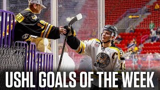 USHL Goals Of The Week Owen Beckner Completes The Comeback Landon Resendes Silky Mitts And More [upl. by Borman]