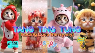 TANG TING TUNG VERSI KUCING LUCU DAN KAWAN KAWAN TERBARU [upl. by Jamil]