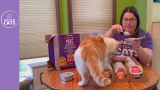 Orijen has wet cat food Lets review it [upl. by Naresh801]