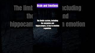 Brain and Emotion facts psychology shorts [upl. by Jobi398]