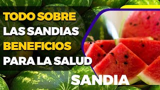 🍉Los múltiples beneficios de la Sandía en el cuerpo humano ¦ Todo Sobre las sandias🍉 [upl. by Lednahc]