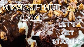 Mississippi Mud Cake  Mississippi Mud Cake Recipe  Bitrecipes [upl. by Guthry]