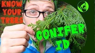 Know Your Trees  Conifer Identification [upl. by Luedtke617]