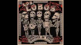 Los Lobos  Colas [upl. by Tonl]