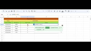 Expiry Date Alert in Excel [upl. by Huston144]