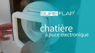 Installation de la chatière SureFlap dans du verre [upl. by Cita]