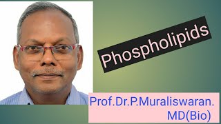 PhospholipidsLipid chemistry Muralis Simplified Biochemistry [upl. by Ayatnahs]