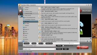 AnyMP4 Video Converter Review and Alternative [upl. by Eiznikcm]