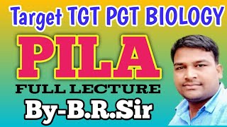 Pila globosa full lecture  External structure of snailpila  TGT PGT BIOLOGY ByBaburam sir [upl. by Og]